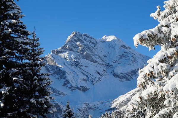 Accompanied tour offers