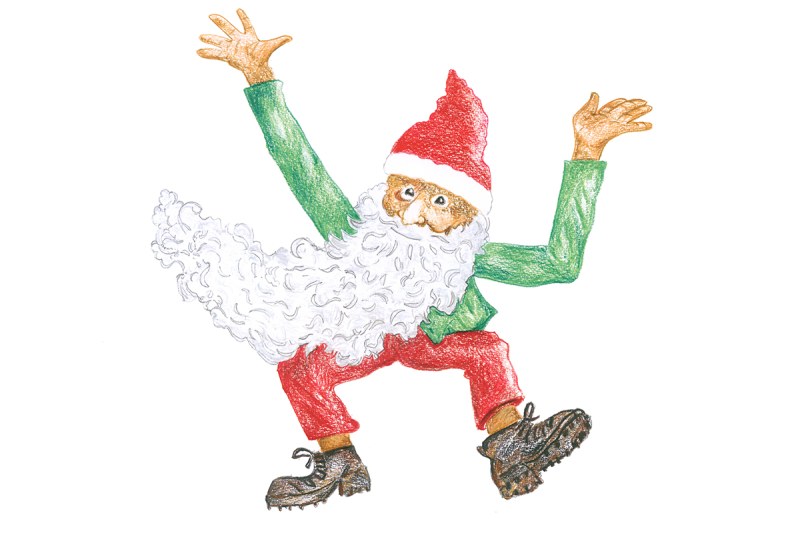 Zwerg Bartli Braunwald