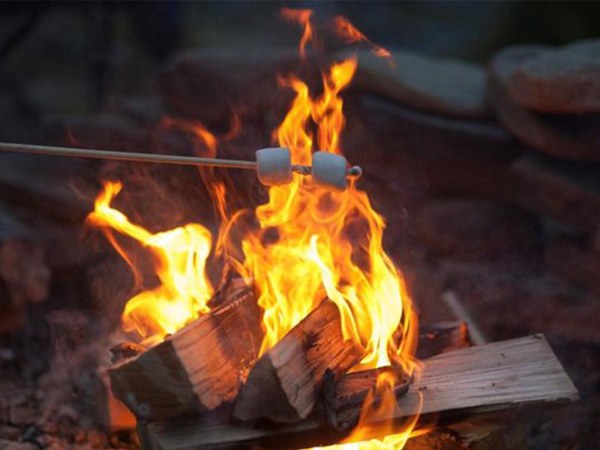 Anbieter Gruppenevents