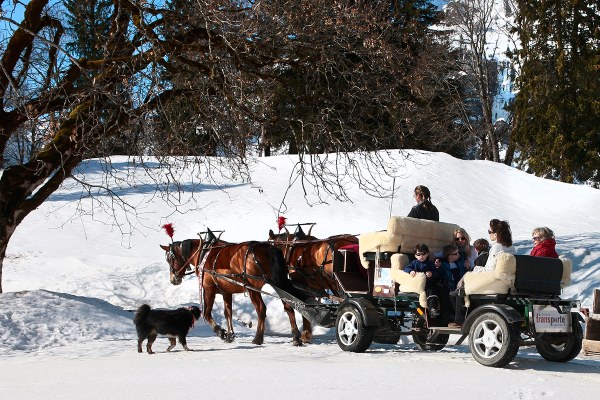 Carriage rides in Braunwald