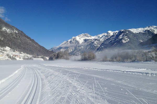 Cross-country Skiing