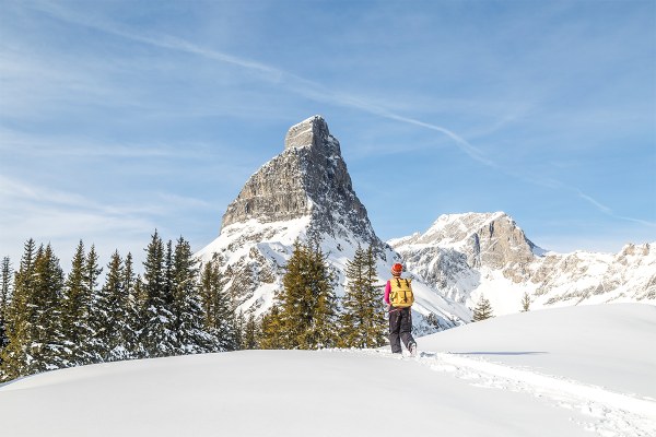Geführte Touren-Angebote