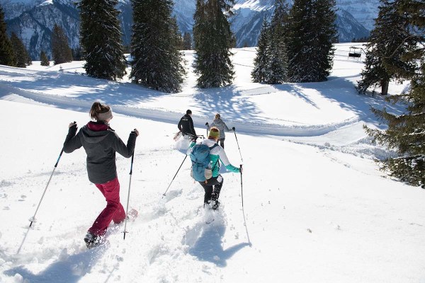 Winterwandern-Schnee-Hang herunter