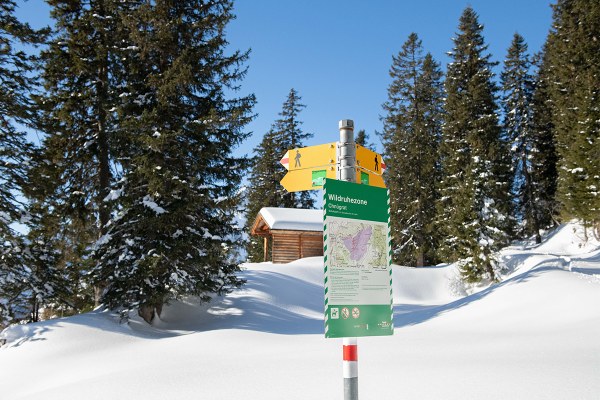Winterwandern-Wildruhezone-Tafel